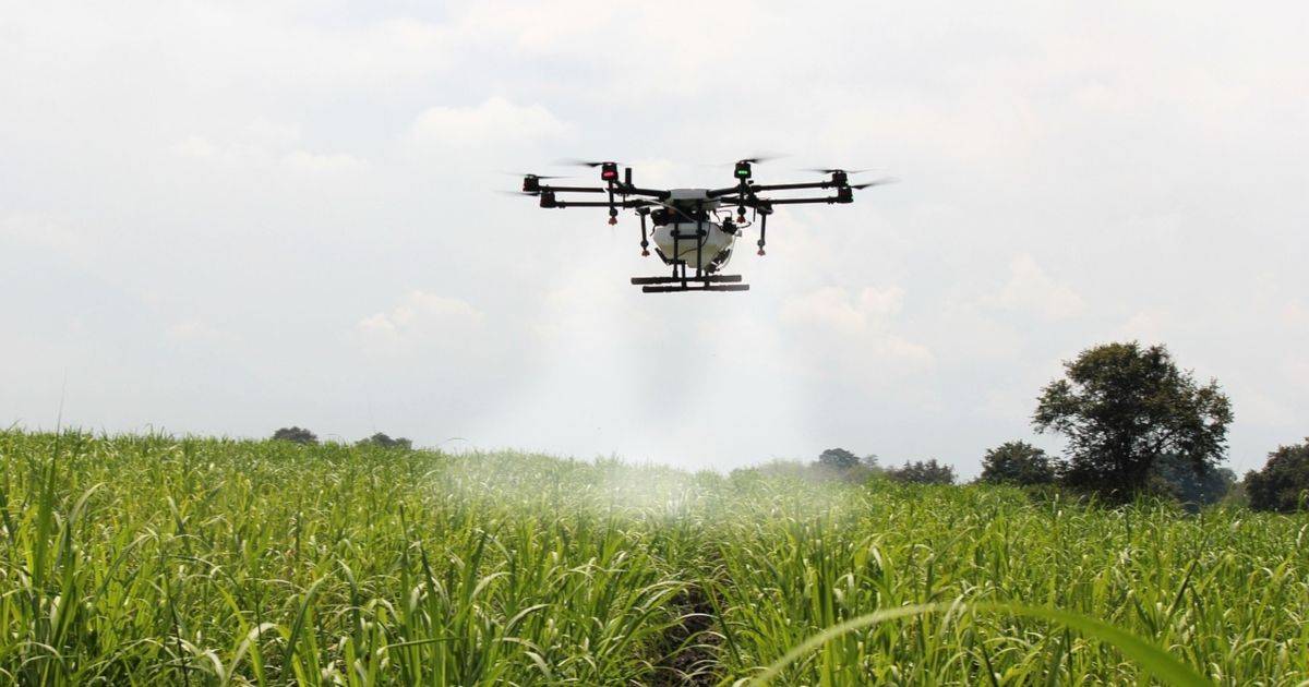 Drone fumigando cultivos