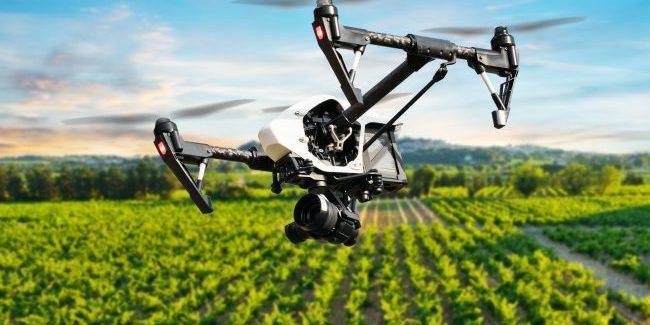 drone volando sobre cultivos agricolas