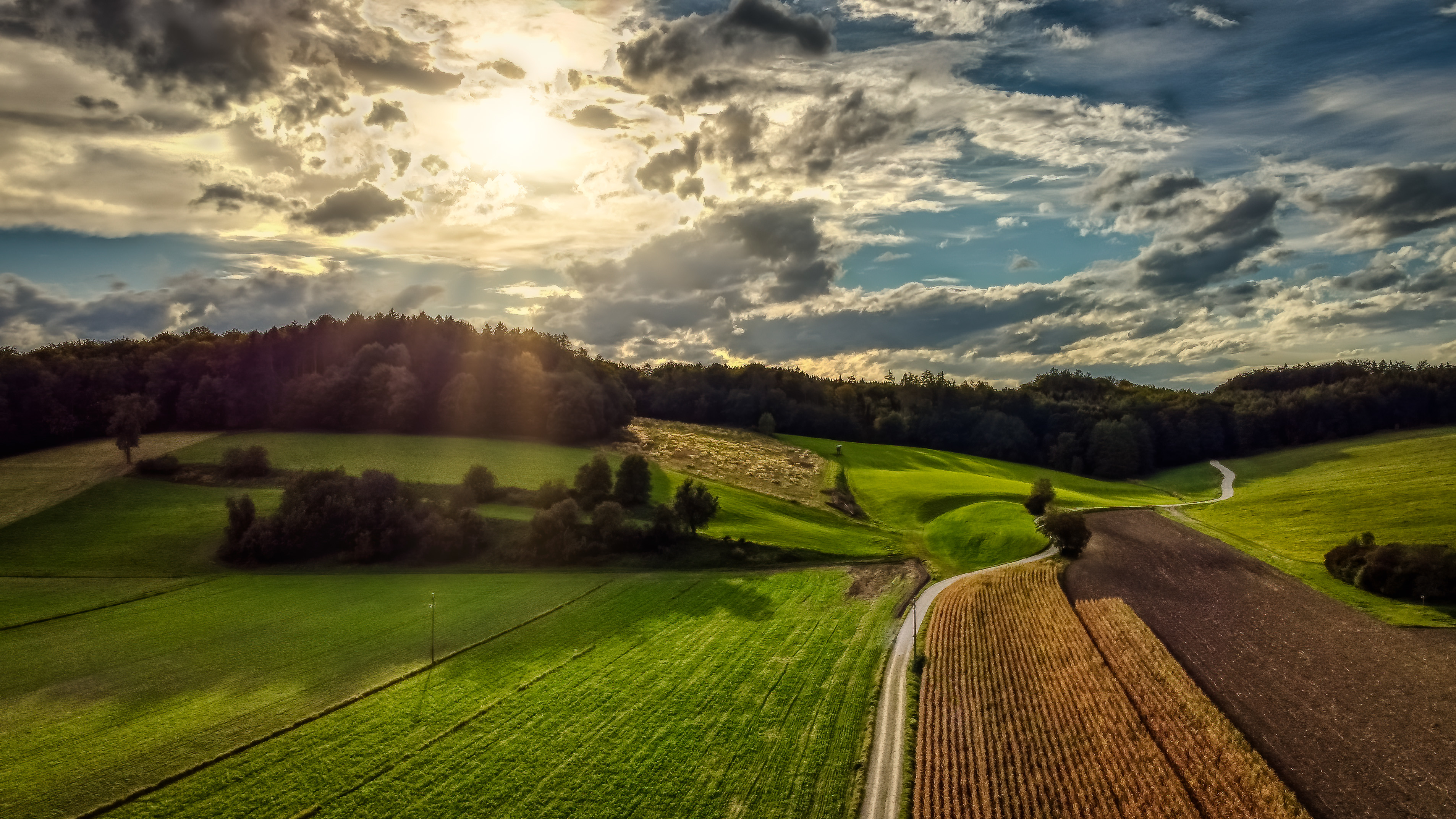 campo en atardecer